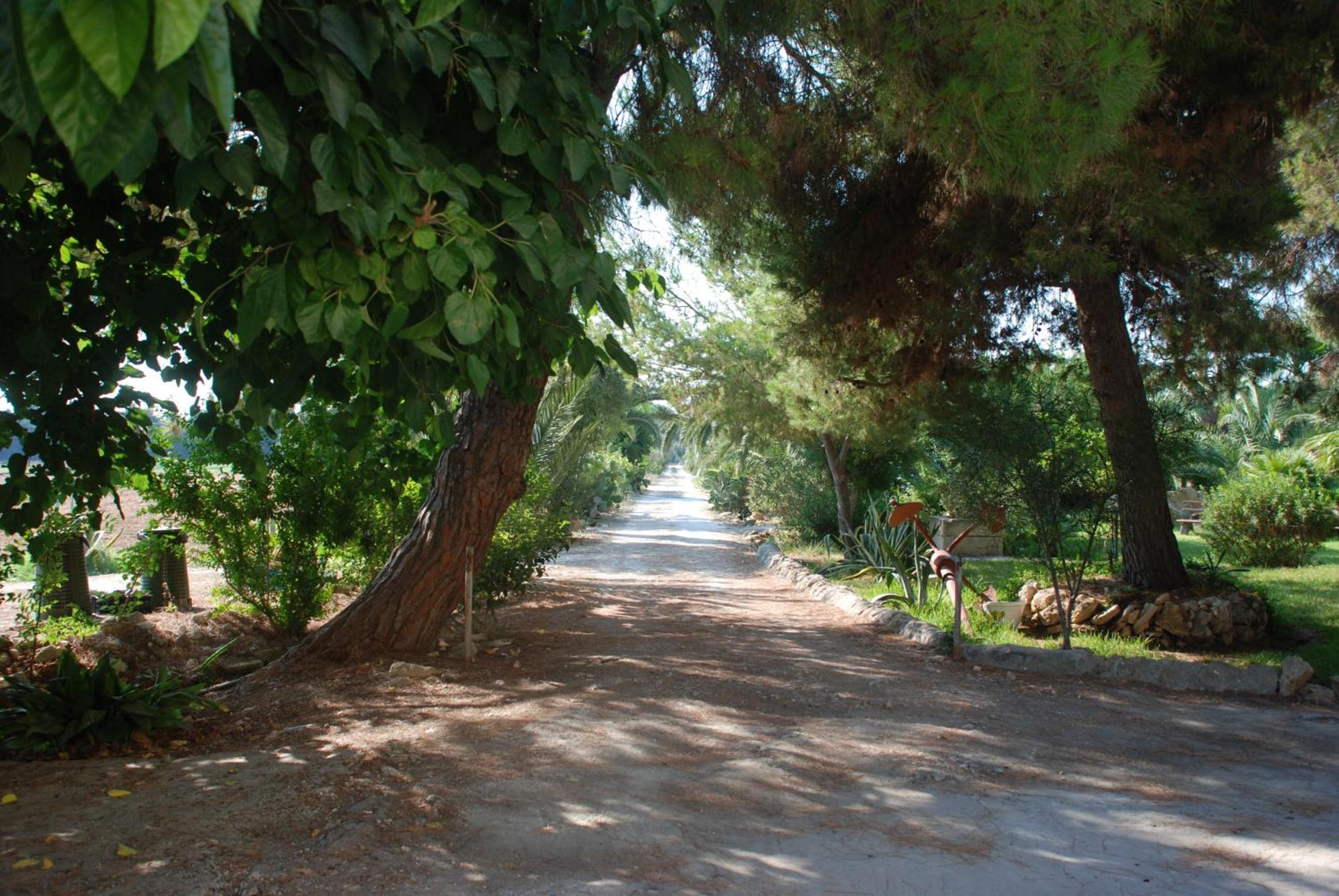 Terrauzza Sul Mare di Renata Emmolo Syracuse Exterior foto